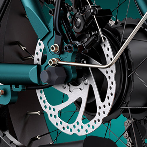 ENGWE L20 2.0 EBIKE | Step-Thru Fat Tire Electric Bike | City Commuter